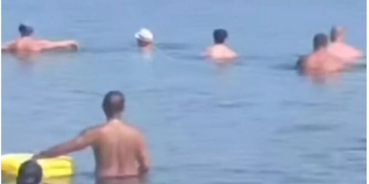 Θεσσαλονίκη: «Πάγωσαν» όταν είδαν το τεράστιο ψάρι που κολυμπούσε κοντά τους[video]