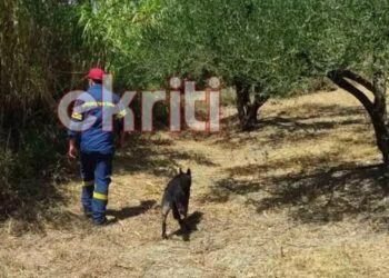 Θρίλερ με 45χρονο – Άφησε γραπτό σημείωμα, πήρε το αυτοκίνητό του και εξαφανίστηκε