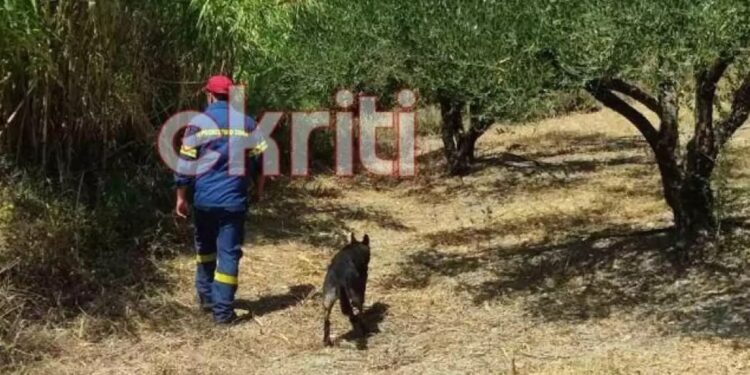 Alldaynews.gr Θρίλερ με 45χρονο – Άφησε γραπτό σημείωμα, πήρε το αυτοκίνητό του και εξαφανίστηκε