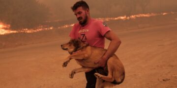 Alldaynews.gr Φωτιά στη Φυλή: Κάτοικος σώζει ζώα από το πύρινο μέτωπο – Δείτε φωτογραφίες