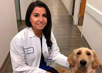 Οικογενειακή τραγωδία: 40χρονη γιατρός μπήκε στο παιδικό δωμάτιο πυροβόλησε το μωρό της και στη συνέχεια αuτoκτόvησε (φωτο)