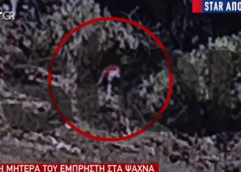 Ψαχνά Ευβοίας-Μητέρα 17χρονου Εμπρηστή: «Μόλις το έμαθα τον κατήγγειλα στην αστυνομία»[video]