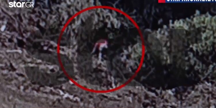 Ψαχνά Ευβοίας-Μητέρα 17χρονου Εμπρηστή: «Μόλις το έμαθα τον κατήγγειλα στην αστυνομία»[video]