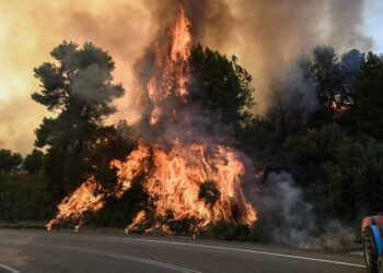 Φωτιά στην Καβάλα: Μήνυμα του «112» για εκκένωση του οικισμού Άγιος Κοσμάς