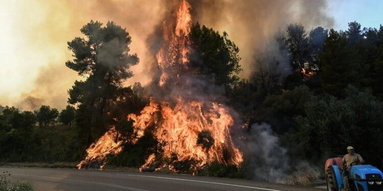 Alldaynews.gr Φωτιά στην Καβάλα: Μήνυμα του «112» για εκκένωση του οικισμού Άγιος Κοσμάς