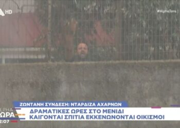 Απεγνωσμένος κάτοικος ζητούσε βοήθεια για να σώσει το σπίτι του: Ο Alpha έδωσε οδηγίες στους πυροσβέστες (vid)
