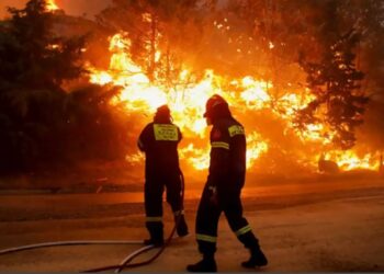 Φωτιά στον Έβρο: «Αύριο αλλάζει ο αέρας, μεγαλώνει η απειλή», λέει ο αντιπεριφερειάρχης
