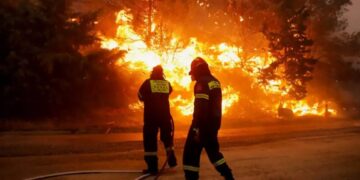 Alldaynews.gr Φωτιά στον Έβρο: «Αύριο αλλάζει ο αέρας, μεγαλώνει η απειλή», λέει ο αντιπεριφερειάρχης