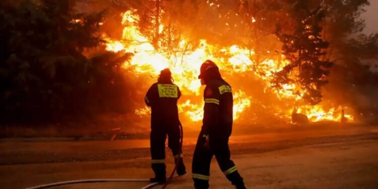 Alldaynews.gr Φωτιά στον Έβρο: «Αύριο αλλάζει ο αέρας, μεγαλώνει η απειλή», λέει ο αντιπεριφερειάρχης