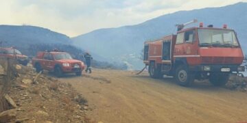 Alldaynews.gr Άνδρο