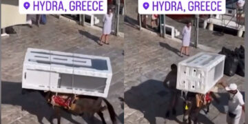 Εικόνες ντροπής: Γαϊδουράκια στην Ύδρα κουβαλάνε μέχρι και ψυγεία – Tι απαντά ο δήμαρχος[video]