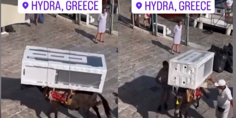 Εικόνες ντροπής: Γαϊδουράκια στην Ύδρα κουβαλάνε μέχρι και ψυγεία – Tι απαντά ο δήμαρχος[video]