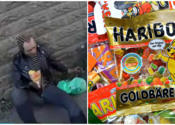 Συγκλονιστική στιγμή: Παραvoϊκός φοιτητής συλλαμβάνεται ενώ μασάει Haribo – Μόλις ξuλοκόπησε μέχρι θavάτου άγνωστη και την διaμέλισε (φωτο, video)