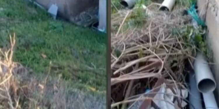 Ηλεία: Έπεσε το βουνό στο σπίτι του ύστερα από κατολίσθηση[video]