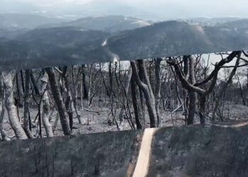Μαυρίλα παντού στον Έβρο – Συγκλονιστικό βίντεο καταγράφει την συμφορά