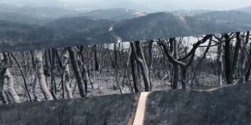 Alldaynews.gr Μαυρίλα παντού στον Έβρο – Συγκλονιστικό βίντεο καταγράφει την συμφορά