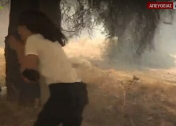 Δύσκολες στιγμές για συνεργείο του Mega στη φωτιά: «Πού να πάμε καίει από παντού, χάσαμε ορατότητα δεν ξέρουμε τι να κάνουμε» (video)
