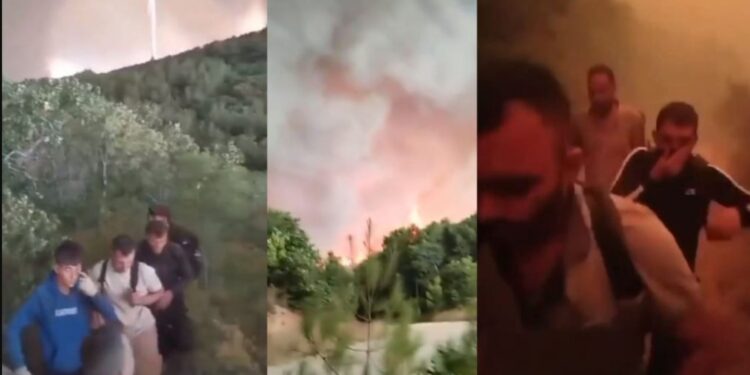 Alldaynews.gr Ανατριχιaστικό Βίντεο Ντοκουμέντο: Οι τελευταίες στιγμές των 18 μεταναστών που βρέθηκαν aπανθρακωμένοι