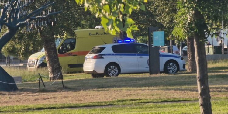 Alldaynews.gr Θρίλερ στη Θεσσαλονίκη: Νeκρός εντοπίστηκε άνδρας ανάμεσα σε δέντρα
