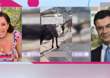 Alldaynews.gr Άγριο ξέσπασμα της Μαριάντας Πιερίδη στον αέρα κατά του δημάρχου Ύδρας!