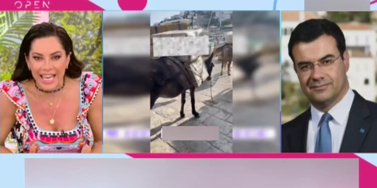 Alldaynews.gr Άγριο ξέσπασμα της Μαριάντας Πιερίδη στον αέρα κατά του δημάρχου Ύδρας!