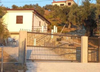 Alldaynews.gr Άφωνοι οι Αστυνομικοί με το ”Τέλειο Έγκλημα” στο Πήλιο-Ποιος Σκότωσe την 59χρονη γυναίκα…
