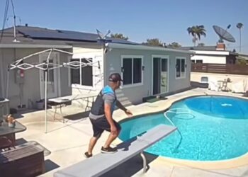 Ντελιβεράς παρέδωσε παραγγελία σε σπίτι και έκανε… βουτιά στην πισίνα! – Δείτε βίντεο