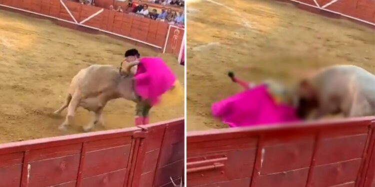 Η εκδίκηση του Ταύρου! Πέταξε στον αέρα σαν «κούκλα» 28χρονο ταυρομάχο[Σοκαριστικές Εικόνες]