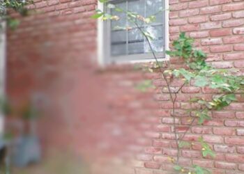 Υπόθεση Θρίλερ! Αναζητούσαν χρόνια νεαρή γυναίκα και βρέθηκε θαμμeνη σε τοίχο[Φωτογραφίες]