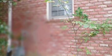 Υπόθεση Θρίλερ! Αναζητούσαν χρόνια νεαρή γυναίκα και βρέθηκε θαμμeνη σε τοίχο[Φωτογραφίες]