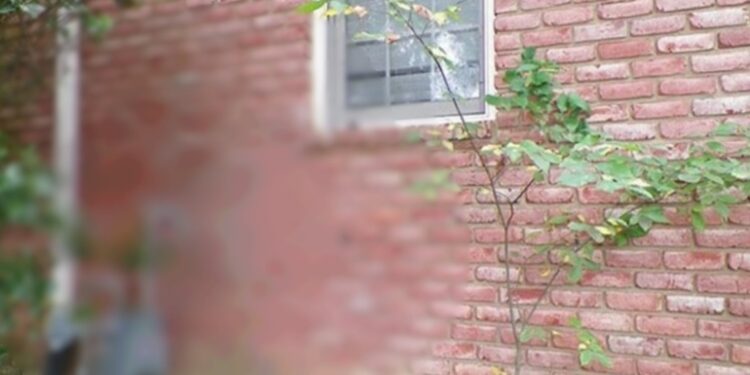 Υπόθεση Θρίλερ! Αναζητούσαν χρόνια νεαρή γυναίκα και βρέθηκε θαμμeνη σε τοίχο[Φωτογραφίες]