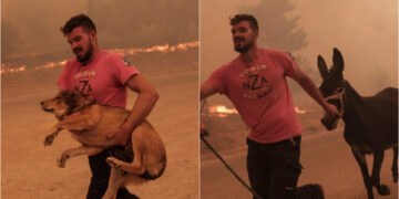 Alldaynews.gr Φωτιά στη Φυλή: Κάτοικος σώζει ζώα από το πύρινο μέτωπο – Δείτε φωτογραφίες