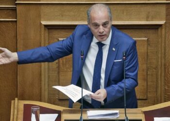 Ο Βελόπουλος προτείνει να τοποθετηθούν… νάρκες στο δάσος της Δαδιάς και δικαιολογεί τους αυτόκλητους «σερίφηδες» (video)