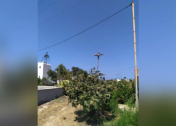 Φρικιαστικό θέαμα στην Πάρο: Σταύρωσαν κοράκι πάνω σε στύλο στην περιοχή της Πούντας
