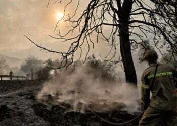 Αλεξανδρούπολη-Ανείπωτη τραγωδία: Εντοπίστηκαν τουλάχιστον 18 απανθρακωμένοι άνθρωποι στο δάσος της Δαδιάς (video)