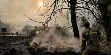 Alldaynews.gr Αλεξανδρούπολη-Ανείπωτη τραγωδία: Εντοπίστηκαν τουλάχιστον 18 απανθρακωμένοι άνθρωποι στο δάσος της Δαδιάς (video)