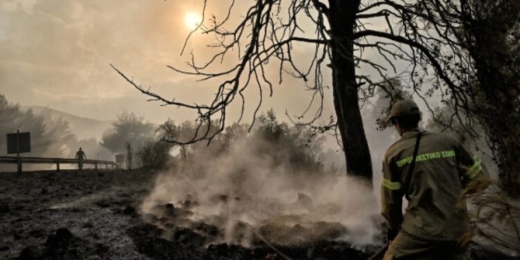 Alldaynews.gr Αλεξανδρούπολη-Ανείπωτη τραγωδία: Εντοπίστηκαν τουλάχιστον 18 απανθρακωμένοι άνθρωποι στο δάσος της Δαδιάς (video)