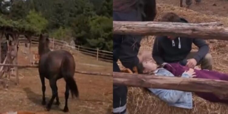 Alldaynews.gr Σοβαρό ατύχημα διαγωνιζόμενης στη Φάρμα: Την χτύπησε άλογο (video)