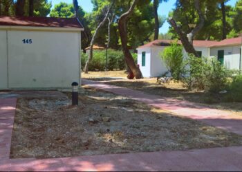 Νέα Μάκρη: Συνελήφθη άνδρας για εμπρησμό από πρόθεση