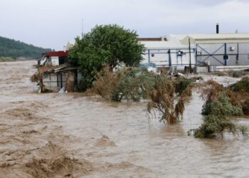 Alldaynews.gr Κακοκαιρία Daniel – Συγκλονιστική μαρτυρία κατοίκου Καρδίτσας: «Είδαμε πτώματa στο δρόμο»