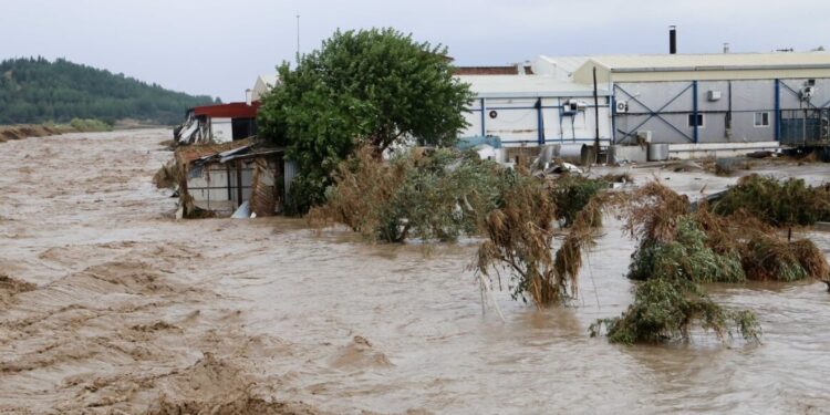 Alldaynews.gr Κακοκαιρία Daniel – Συγκλονιστική μαρτυρία κατοίκου Καρδίτσας: «Είδαμε πτώματa στο δρόμο»