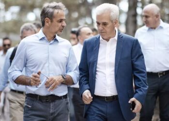 Μητσοτάκης: Δεν καταφέραμε να σώσουμε το δάσος της Δαδιάς! Αυτή είναι η αλήθεια