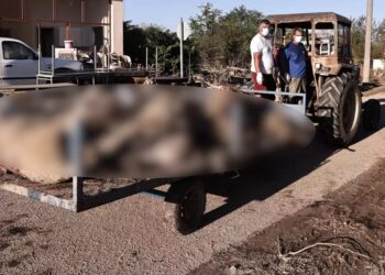 Alldaynews.gr Αθηνά Λινού για κακοκαιρία: ”Το κράτος είναι ο μεγάλος απών!-Οι άνθρωποι κινδυνεύουν από ηπατίτιδα Α’, σαλμονέλα και τυφοειδή πυρετό”