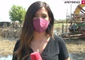 ”Πάγωσε” η ρεπόρτερ του Mega στην Καρδίτσα! Της πετάχτηκε φίδι την ώρα της ζωντανής σύνδεσης[video]