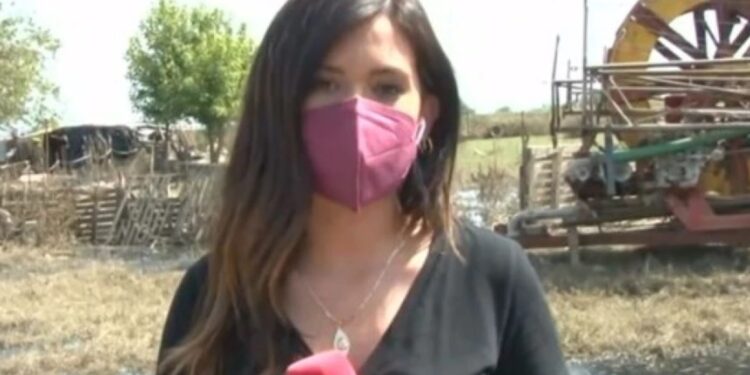 ”Πάγωσε” η ρεπόρτερ του Mega στην Καρδίτσα! Της πετάχτηκε φίδι την ώρα της ζωντανής σύνδεσης[video]