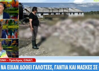 Ματίνα Παγώνη: «Από την αρχή έπρεπε να έχουν δοθεί γαλότσες, γάντια και μάσκες σε όλους τους κατοίκους των πληγεισών περιοχών»