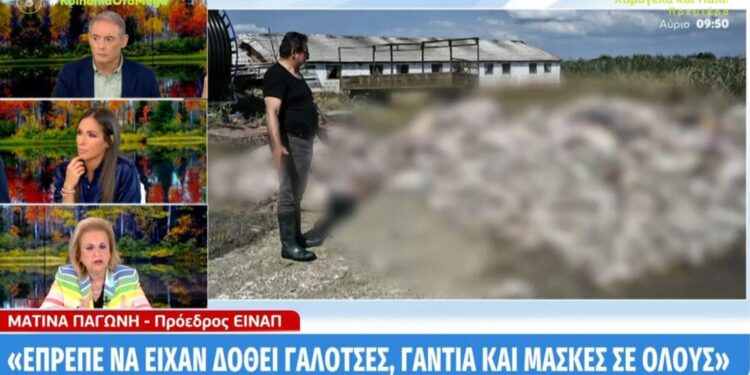 Alldaynews.gr Ματίνα Παγώνη: «Από την αρχή έπρεπε να έχουν δοθεί γαλότσες, γάντια και μάσκες σε όλους τους κατοίκους των πληγεισών περιοχών»