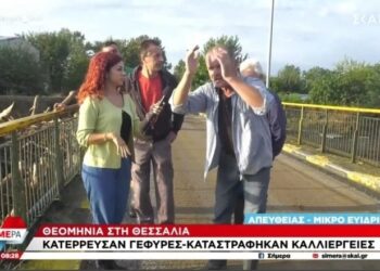 Έξαλλος κάτοικος άρχισε να τα χώνει στον «αέρα» του ΣΚΑΪ και διακόπηκε η σύνδεση: «Λένε μ@λ@κ!€ς, είναι λαμόγια» (vid)