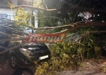 Πάτρα: Δέντρο έπεσε σε γυναίκα και την τραυμάτισε! Περίμενε το παιδί της από το φροντιστήριο