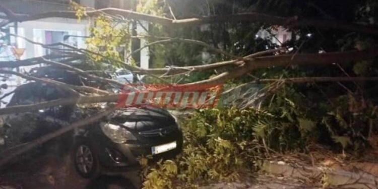 Πάτρα: Δέντρο έπεσε σε γυναίκα και την τραυμάτισε! Περίμενε το παιδί της από το φροντιστήριο